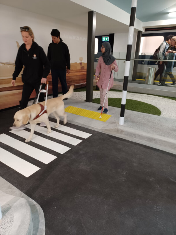 Guide dog with handler and 2 people crossing zebra crossing.