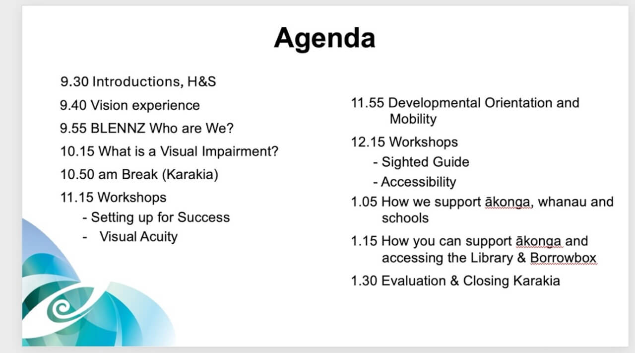 Screenshot of the Low vision professional development agenda